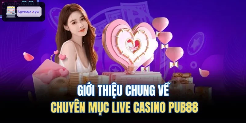 Giới thiệu chung về chuyên mục live casino M88