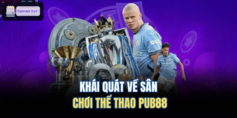 Khái quát về sân chơi thể thao M88