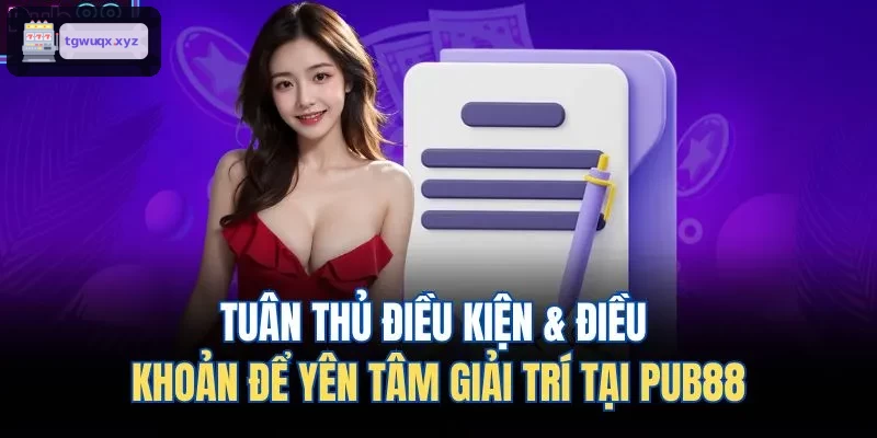 Tuân thủ điều kiện & điều khoản để yên tâm giải trí tại M88